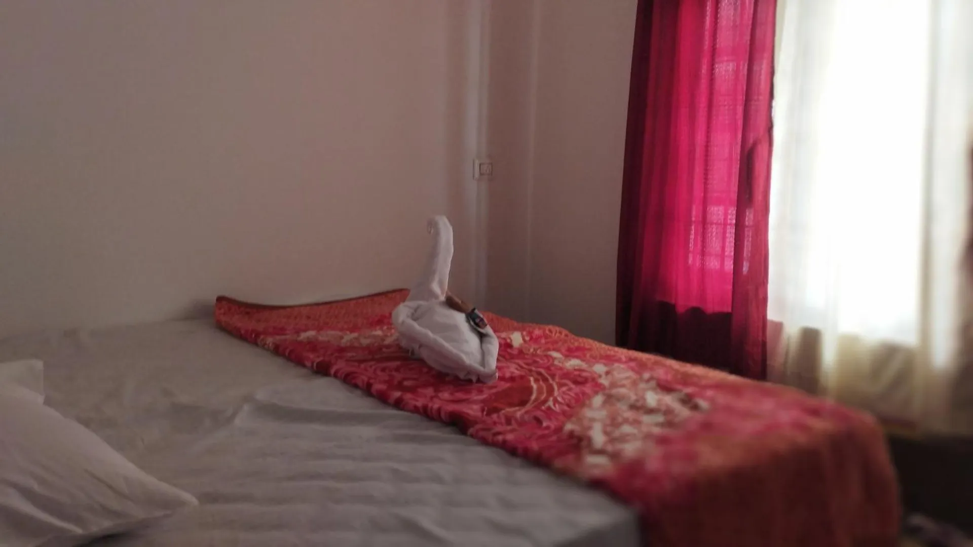 Fusion Nest Homestay Munnar Anaviratty 인도